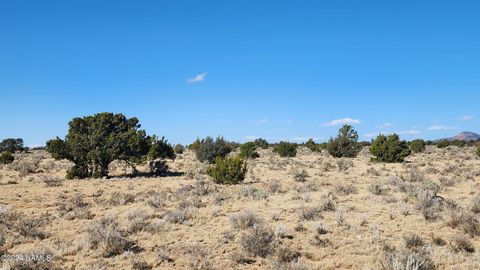 Photo of Williams, AZ 86046 (MLS # 198925)