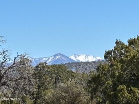 Photo of Williams, AZ 86046 (MLS # 203656)