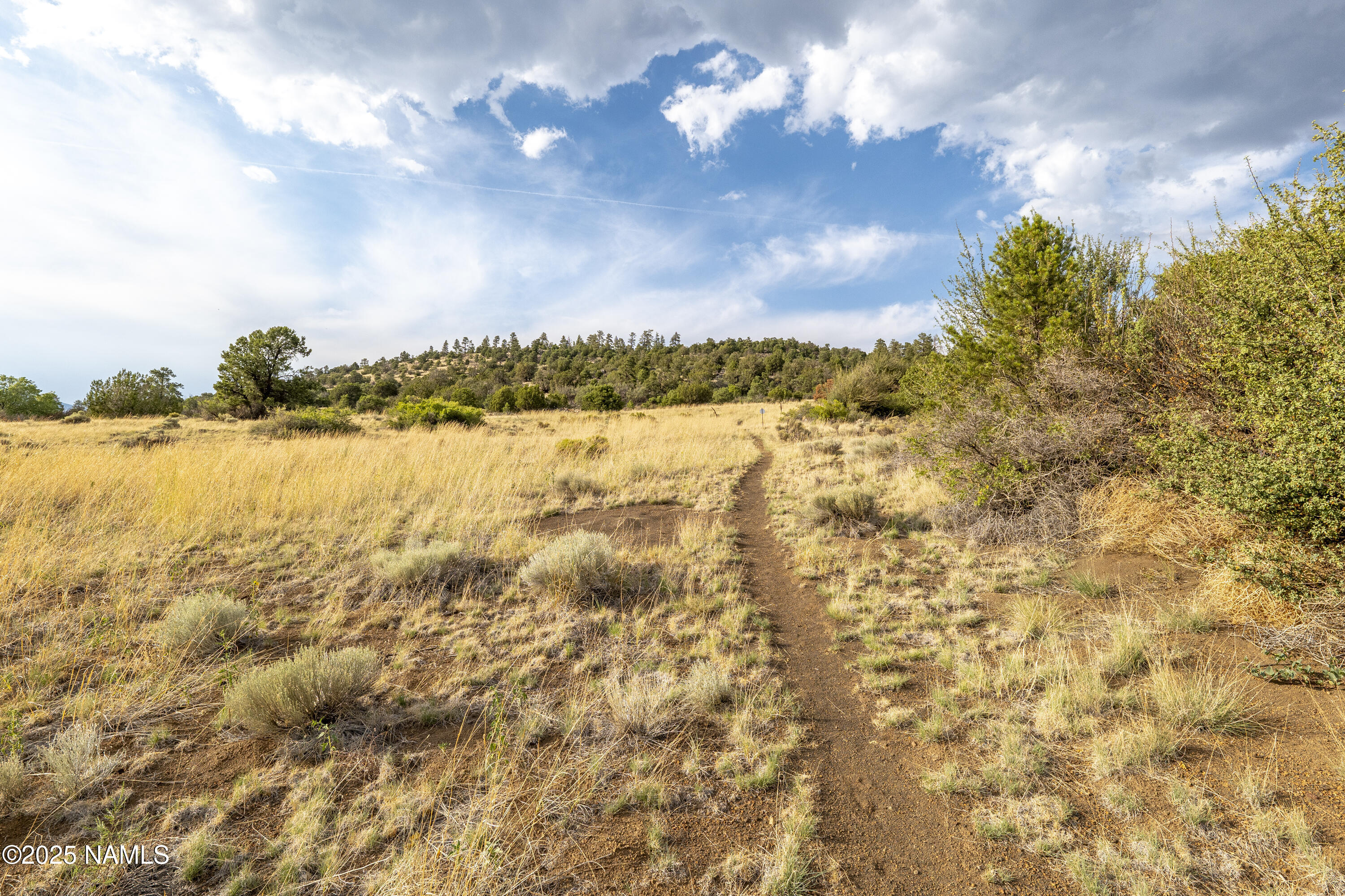 8200 Sleeping Dog Road