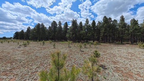 Photo of Parks, AZ 86018 (MLS # 204387)
