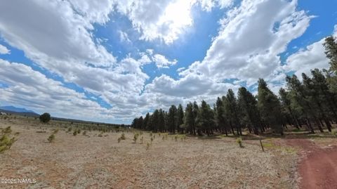 Photo of Parks, AZ 86018 (MLS # 204387)