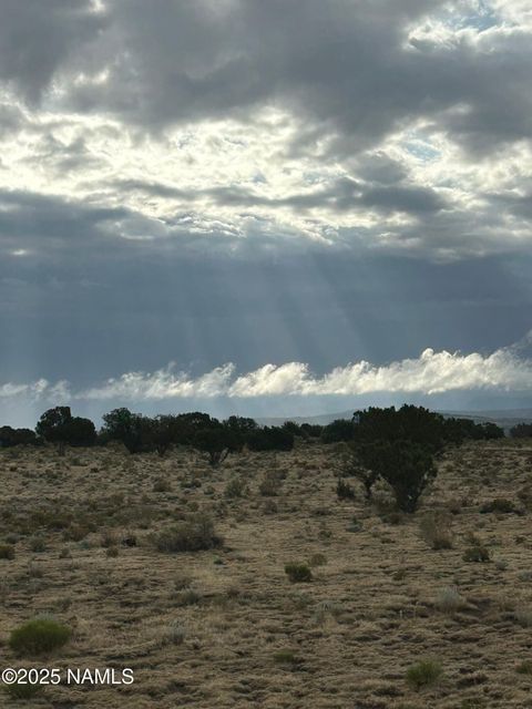 Photo of Williams, AZ 86046 (MLS # 201944)
