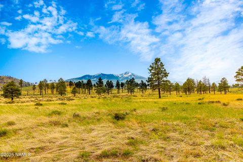 0 Snow Bowl Estates 2, Lot 7 Flagstaff AZ 86001