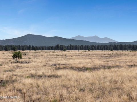 Photo of Parks, AZ 86018 (MLS # 201487)