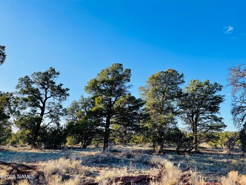 Photo of Williams, AZ 86046 (MLS # 201463)