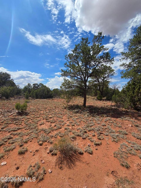 Photo of Williams, AZ 86046 (MLS # 205448)