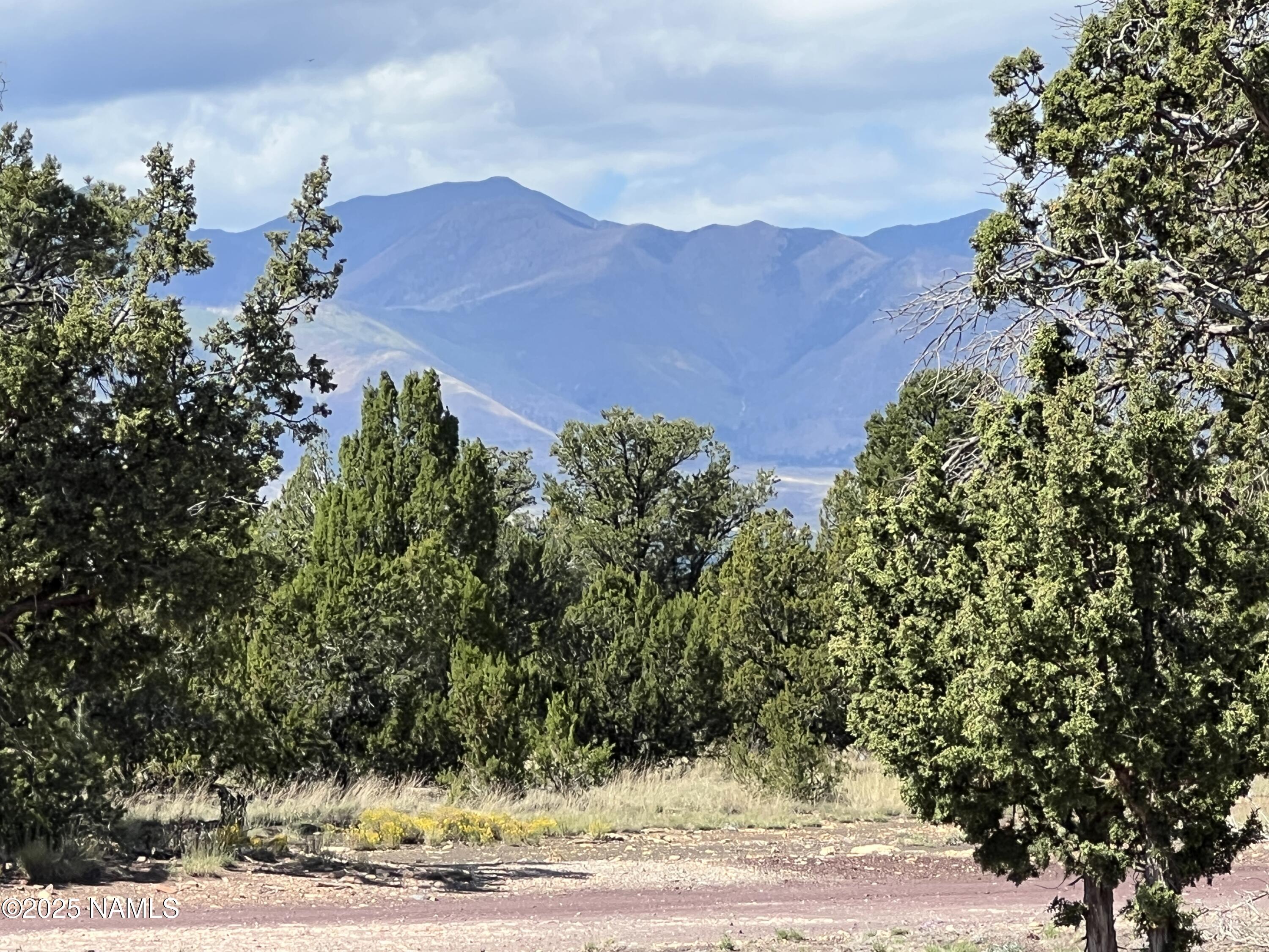 6339 N Bluefield Road