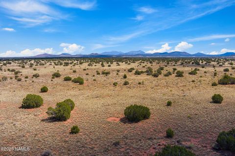 Photo of Williams, AZ 86046 (MLS # 202171)