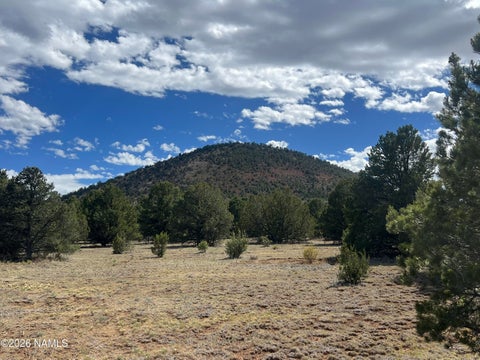 Photo of Williams, AZ 86046 (MLS # 205058)