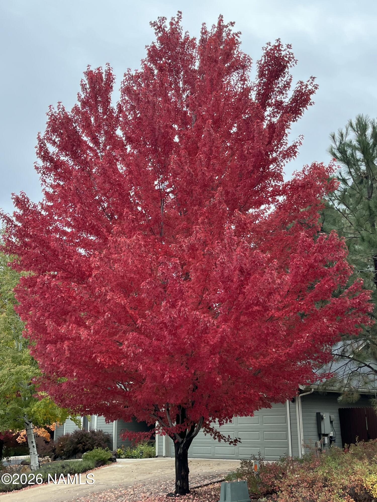 2079 W Fresh Aire Street