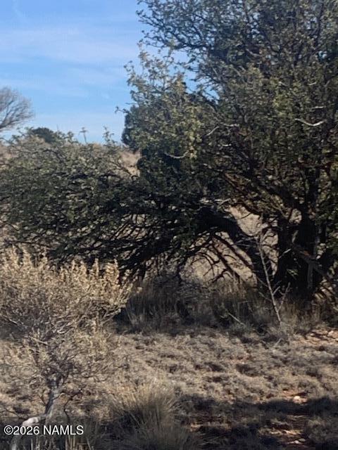 1548 E Mission Drive