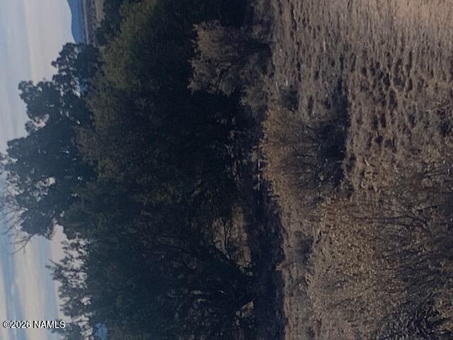 1548 E Mission Drive