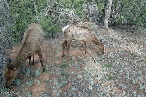 Photo of Williams, AZ 86046 (MLS # 203041)