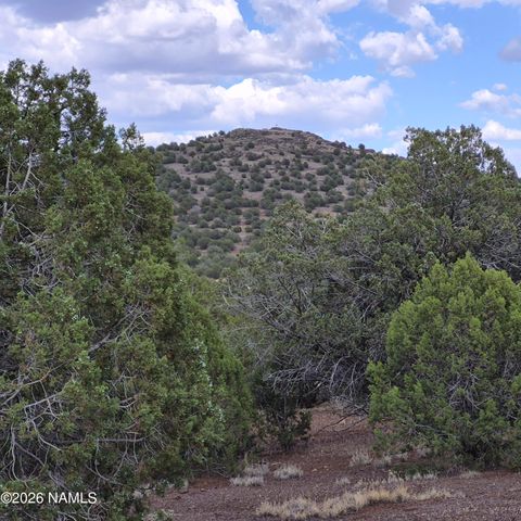 Photo of Williams, AZ 86046 (MLS # 205019)
