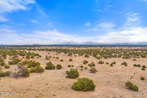Photo of Williams, AZ 86046 (MLS # 202074)