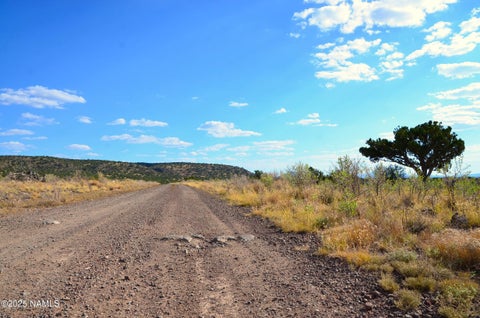 Photo of Williams, AZ 86046 (MLS # 200028)