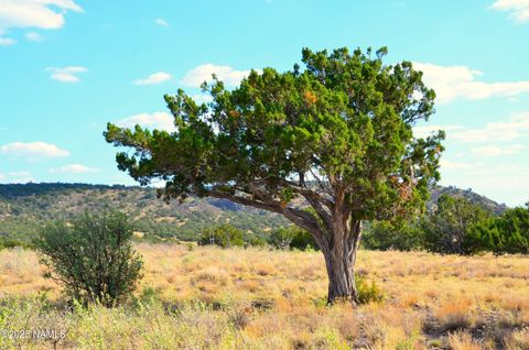 Photo of Williams, AZ 86046 (MLS # 200028)