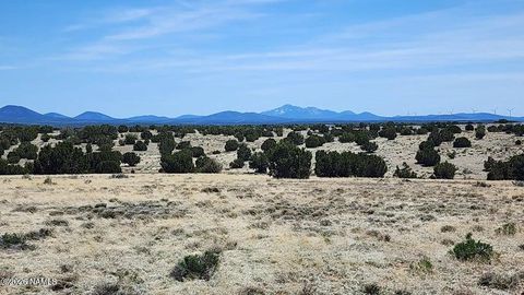 Photo of Williams, AZ 86046 (MLS # 202993)