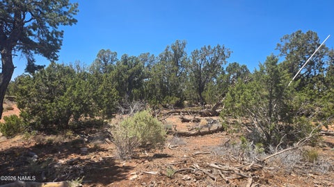 Featured picture for the property 205478