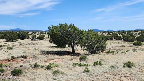 Photo of Williams, AZ 86046 (MLS # 202995)