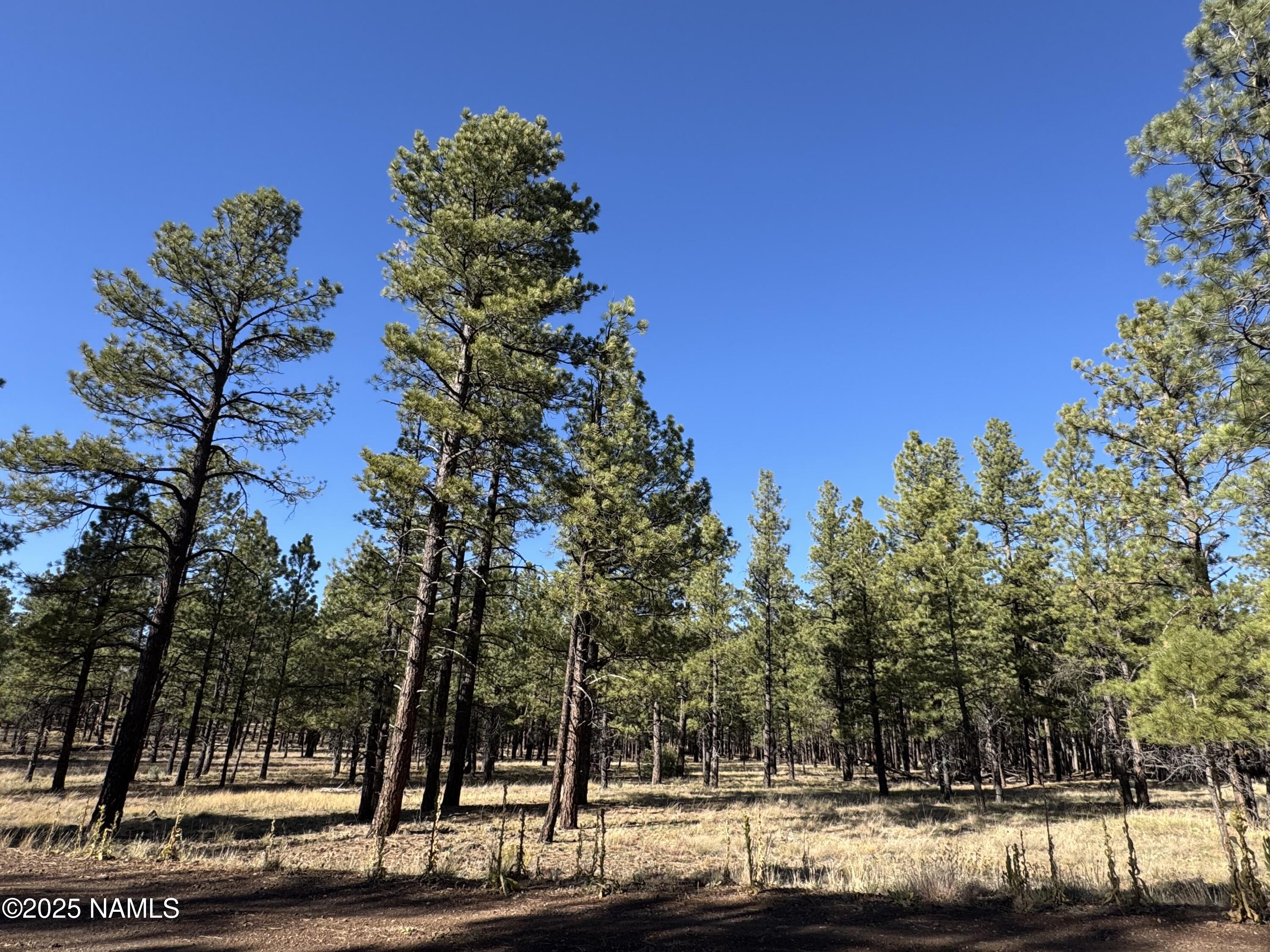 Lot 3L N Quintana Drive