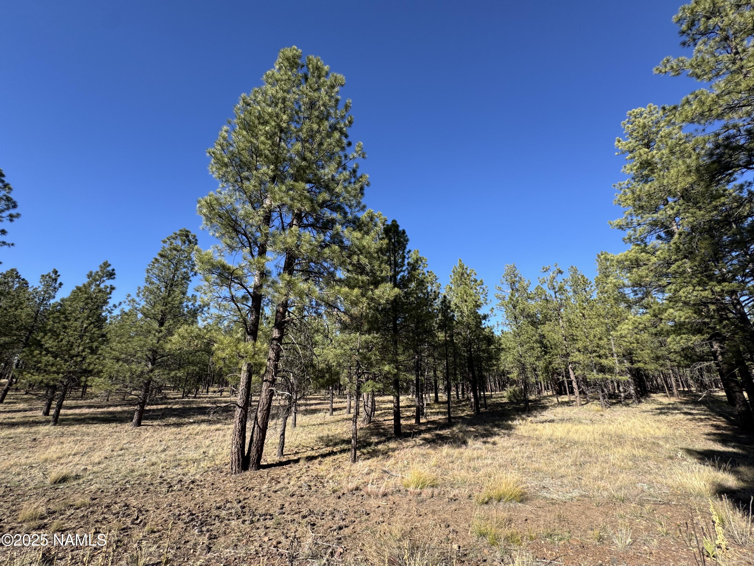 Lot 3L N Quintana Drive