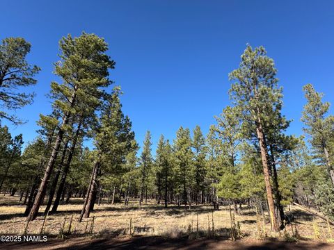 Lot 3L N Quintana Drive Flagstaff AZ 86001