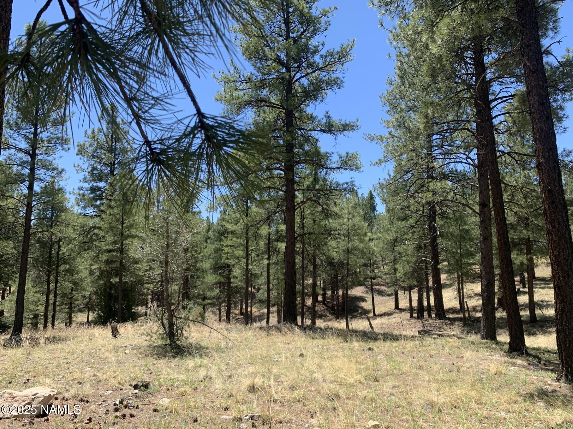 2343 E Del Rae Drive 176