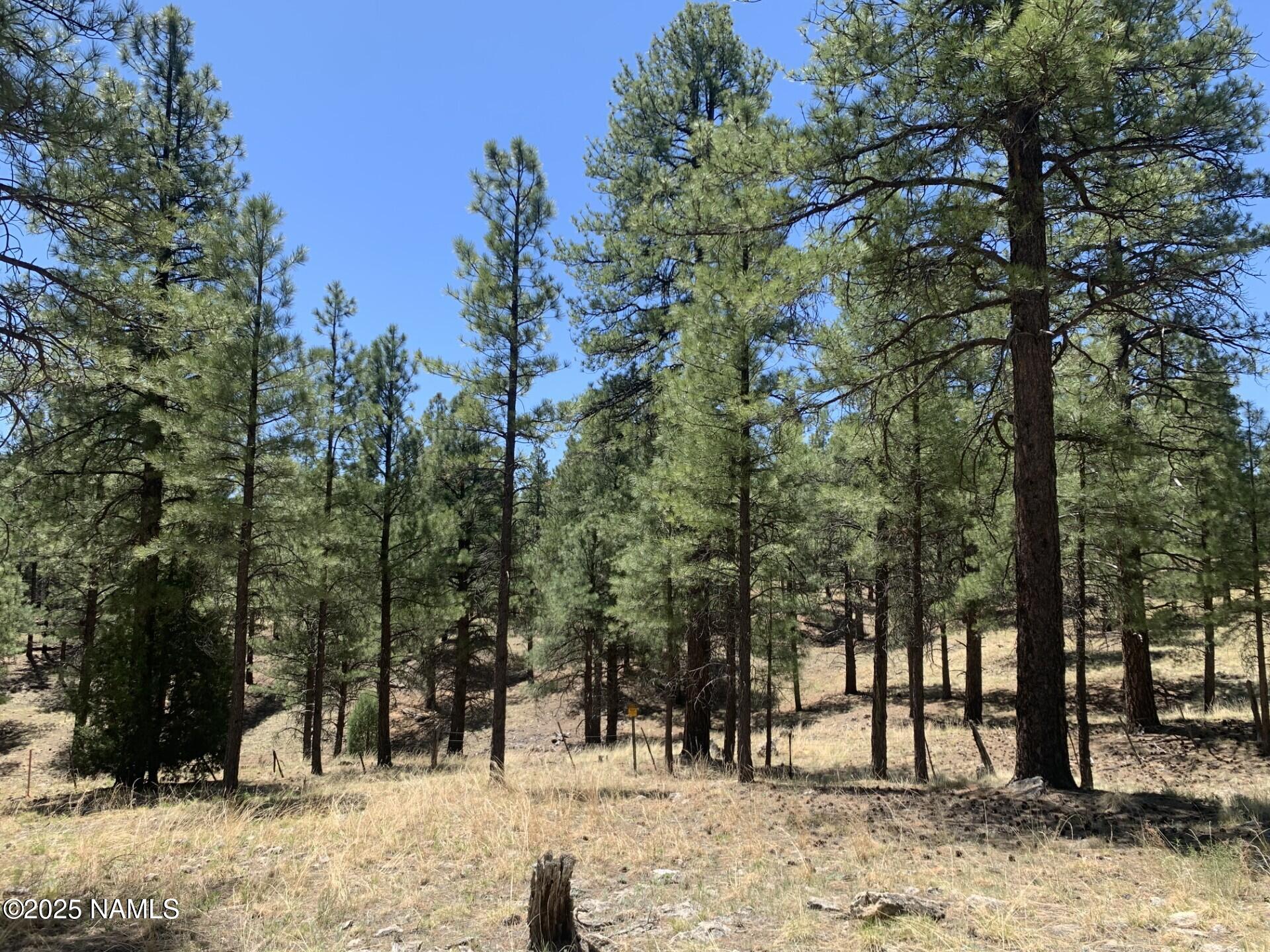 2343 E Del Rae Drive 176