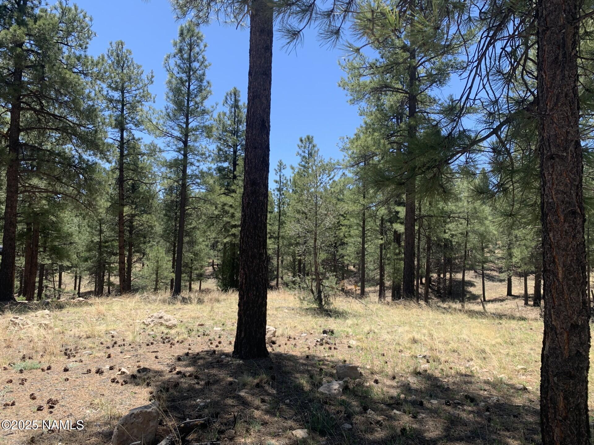 2343 E Del Rae Drive 176