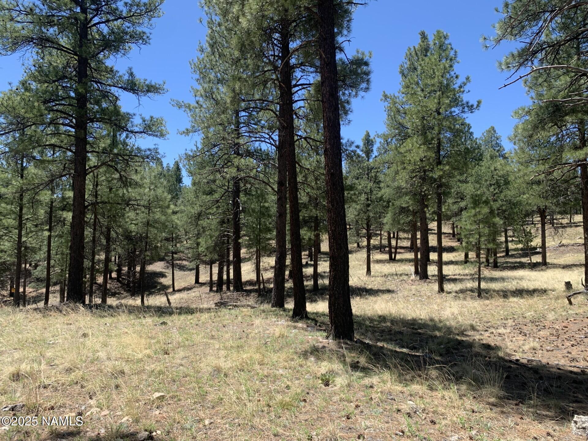 2343 E Del Rae Drive 176