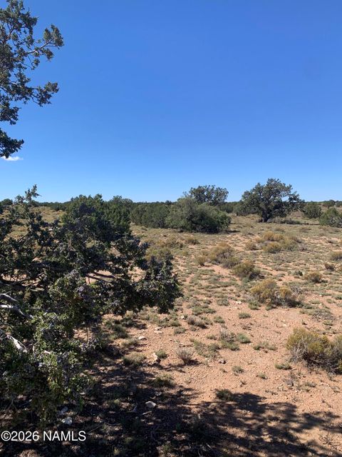 Photo of Williams, AZ 86046 (MLS # 204453)
