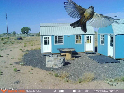 Photo of Williams, AZ 86046 (MLS # 206166)