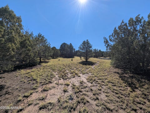 Photo of Williams, AZ 86046 (MLS # 206352)