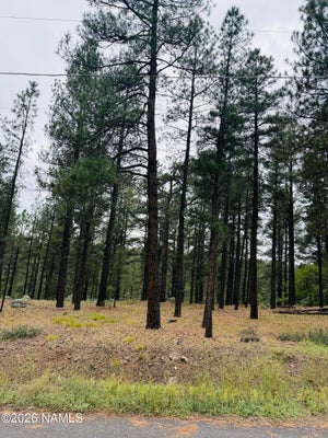 2586 MESA TRL, FLAGSTAFF, AZ 86005 - Image a7f0fa746d3cd37f1ba48fbd44a45875/3978047166