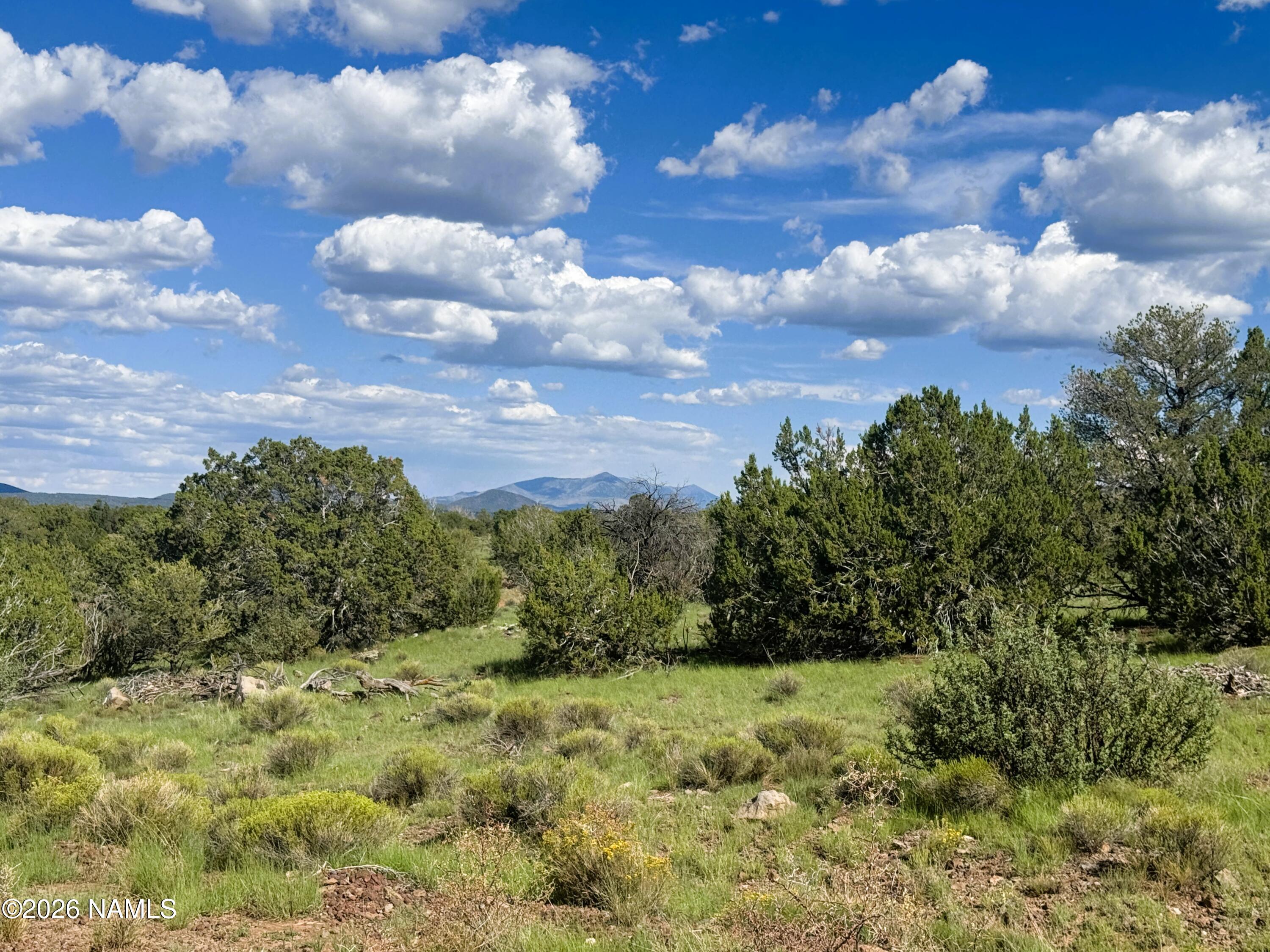 10209 S Big Bear/14556 Howard Mesa Road