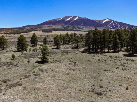 Photo of Flagstaff, AZ 86001 (MLS # 204327)