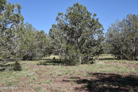 Featured picture for the property 193700