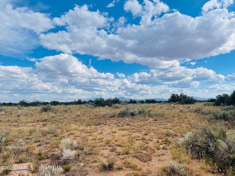 Photo of Williams, AZ 86046 (MLS # 205414)