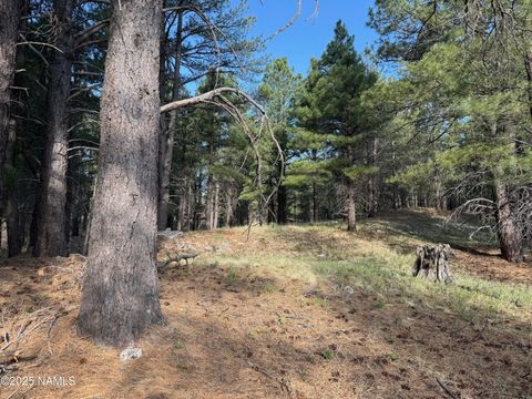 Photo of Flagstaff, AZ 86005 (MLS # 202292)