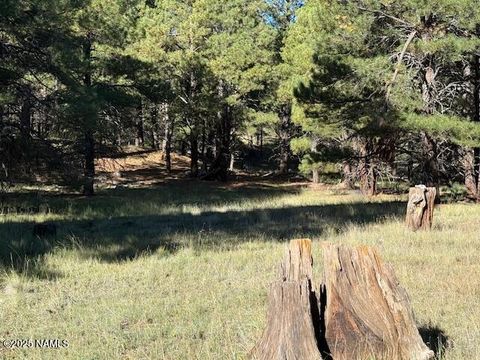 Photo of Flagstaff, AZ 86005 (MLS # 202270)