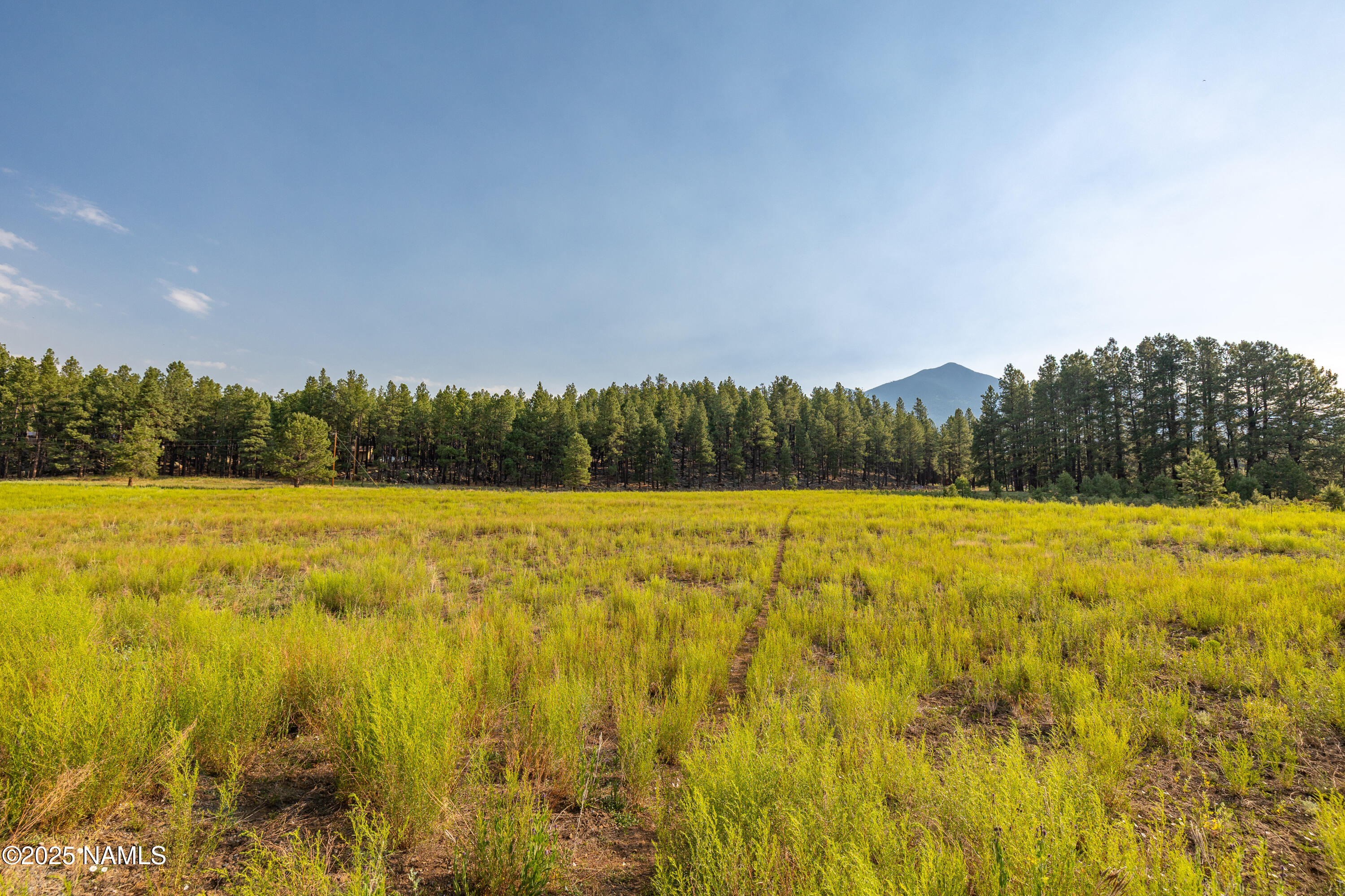 9199 Ranch At The Peaks Way