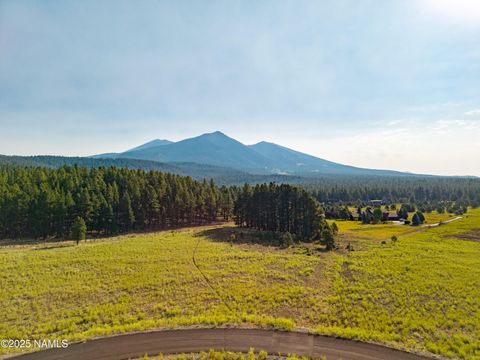 9199 Ranch At The Peaks Way Flagstaff AZ 86001
