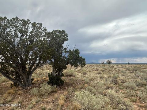Photo of Williams, AZ 86046 (MLS # 203961)