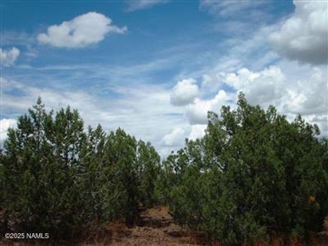 Photo of Williams, AZ 86046 (MLS # 202942)