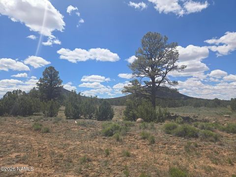 Photo of Williams, AZ 86046 (MLS # 205034)
