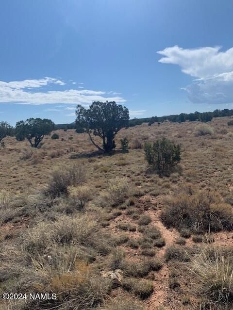 Photo of Williams, AZ 86046 (MLS # 203099)