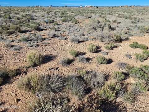 Photo of Williams, AZ 86046 (MLS # 203579)