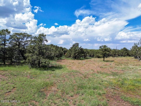 Photo of Williams, AZ 86046 (MLS # 205865)