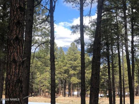 Photo of Flagstaff, AZ 86001 (MLS # 204456)